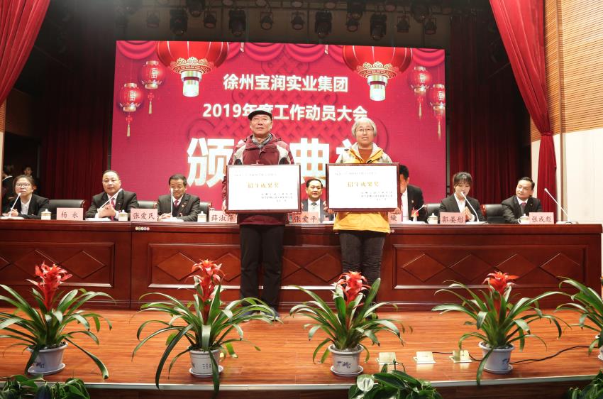 开云官方网页版2019年度工作动员大会---集团公司领导为先进单位和先进个人代表颁奖
